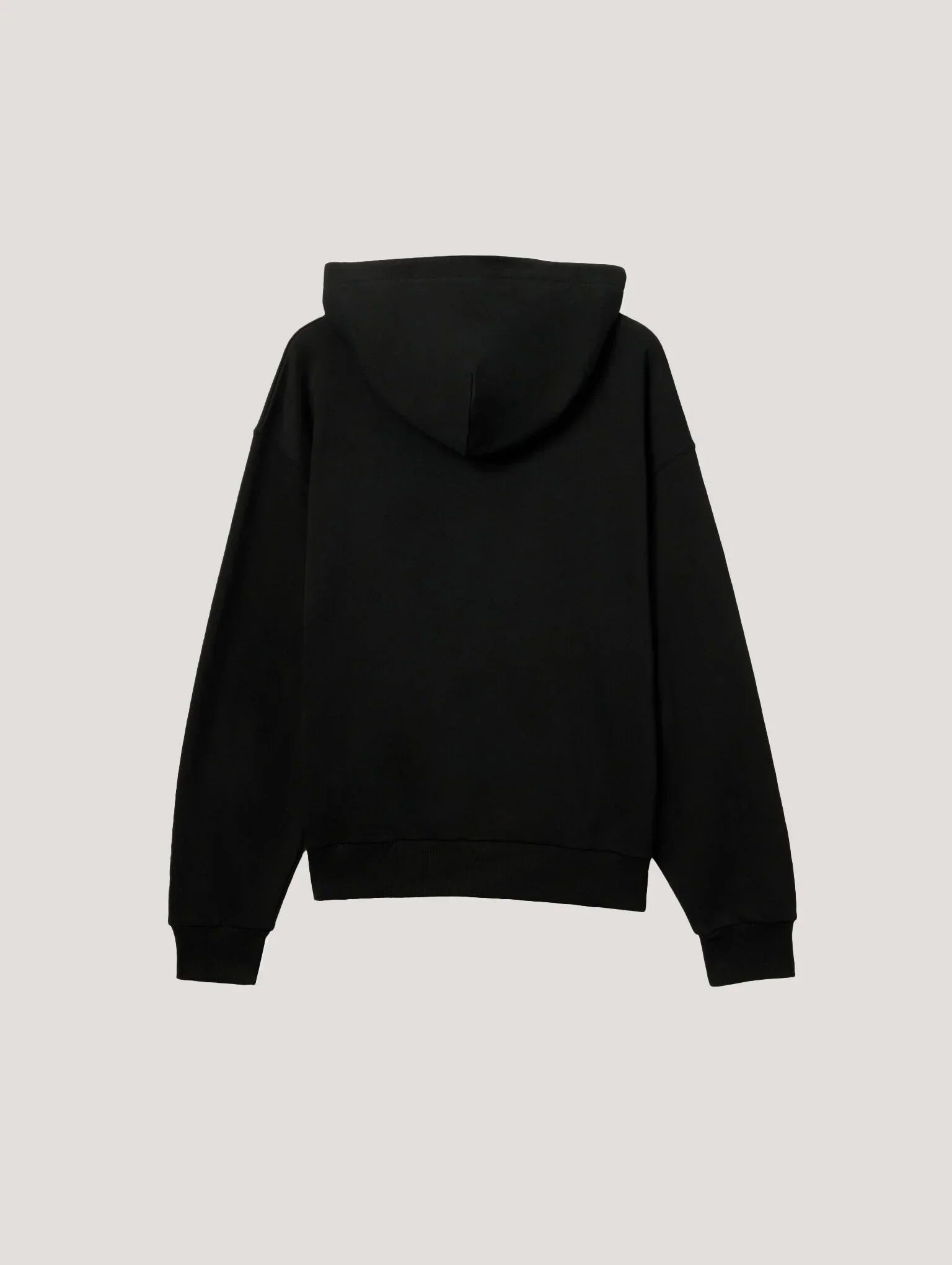 Pa X Everlast Regular Hoodie